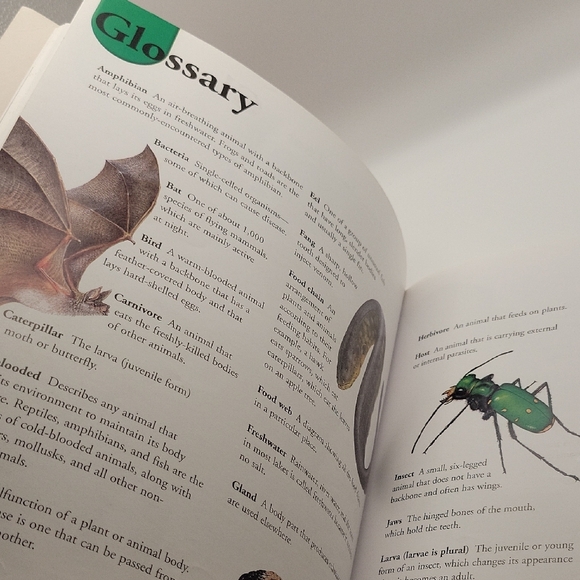 Deadly Creatures Dictionary - Picture 7 of 7